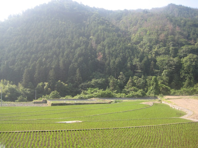 野呂山までちょっくらロードバイクにて