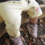 好きな本は手元に置いておくことにしたのだ｜本棚を充実させる