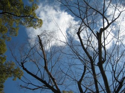 開業前はやること多し