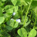 鍼灸院と看板と名刺の打ち合わせ終了