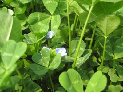 鍼灸院と看板と名刺の打ち合わせ終了