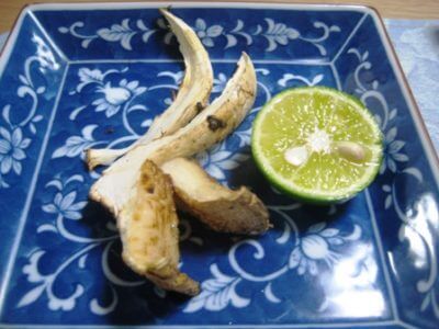 季節を感じてみよう！・・・マツタケ