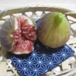 季節を感じてみよう・・・いちぢく