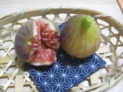 季節を感じてみよう・・・いちぢく