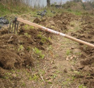 今年も夏がやってきます、暑さ対策は忘れずに