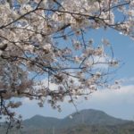 完全予約制の利点を生かし、ちょっぴり息抜き