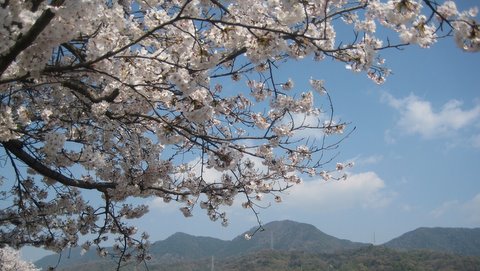 完全予約制の利点を生かし、ちょっぴり息抜き