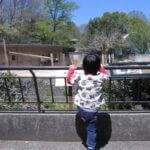 日曜日はバラバラ家族、鍼灸院でお仕事して過ごしました