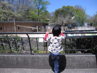 日曜日はバラバラ家族、鍼灸院でお仕事して過ごしました