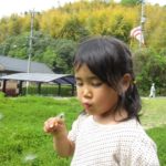 中学1年生の娘の試験勉強に付き合ってます、もう大変だわ