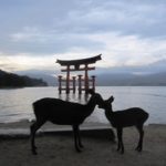 東京から友人が遊びに来てくれました