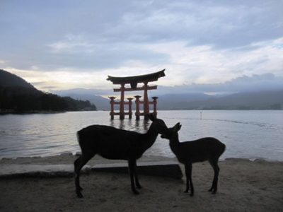 東京から友人が遊びに来てくれました