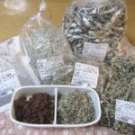 音戸まで往診に行ってきました、遠方への往診は今回限りに