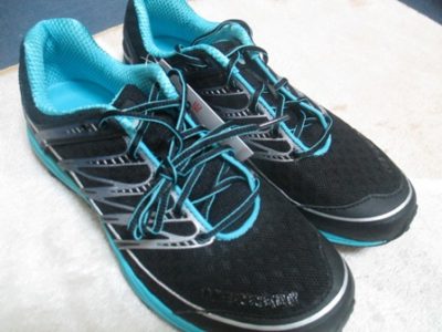 これから宮島の弥山に登って来ます、午前中仕事サボります