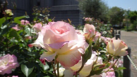 「それ以上痩せないでよ」とお客さんから言われてしまった