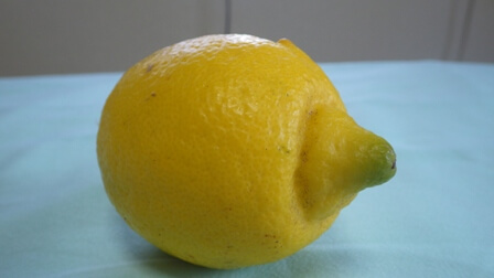 レモン入りマティーニはグイグイ行ける「ジン・バック」