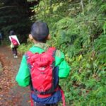 仕事で手一杯です。ひたすら鍼を打つ