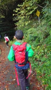 仕事で手一杯です。ひたすら鍼を打つ