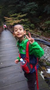 HPとブログに漸くアクセス解析導入、これから注視します