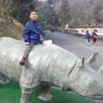 極端に読書量の落ちた１年でした、豪雨災害ボランティアの影響