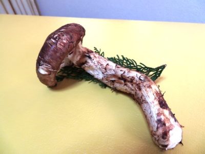 マツタケ頂きました、松茸ご飯と焼き松茸