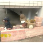 【広島空港アクセス】カナダ旅行は自家用車で向かうことに決定