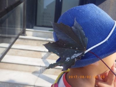 カナダ旅行から帰ったら鍼灸院内には大量の留守電が残ってた