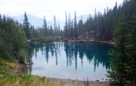 写真にて振り返るカナダ旅行２日目~氷河ツアーでケンカ勃発