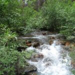 写真で振り返るカナダ旅行4日目~モレインレイクに振られてトレッキング