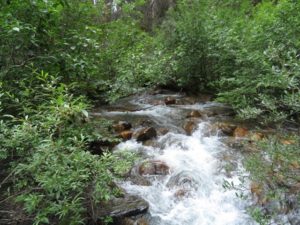 写真で振り返るカナダ旅行4日目～モレインレイクに振られてトレッキング