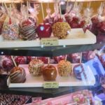 写真で振り返るカナダ旅行13日目～ナイアガラの滝ツアー