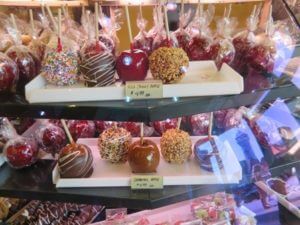 写真で振り返るカナダ旅行13日目～ナイアガラの滝ツアー