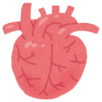 【心房細動手術】手術後ベッドで安静にする時間が地獄でした