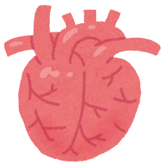 【リアル体験談】心房細動手術後の安静時間が辛すぎた理由とは