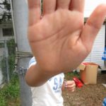 ブログの引っ越しで手間取ってました｜少しずつ改善して行きます