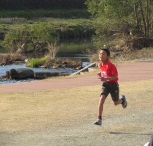 泡盛の古酒を探して酒屋巡りしています。思わぬお宝が見つかるかも