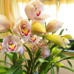 本日は早朝の布団から始まって、ひたすら読書の時間でした