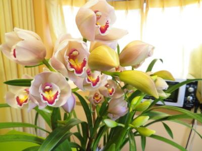 本日は早朝の布団から始まって、ひたすら読書の時間でした