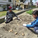 畑仕事とランニングの両立を図りたい