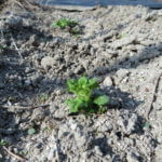 久々に物欲満載の現在、動けるようになってきました