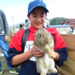 鍼灸院の休診日を増やすことを本格検討中