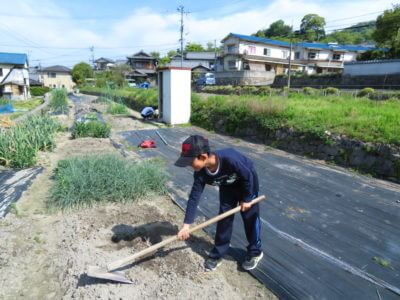 溜まった雑用済ませてしっかり働いてます