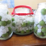 来年も美味しい梅酒を漬けるために勉強中