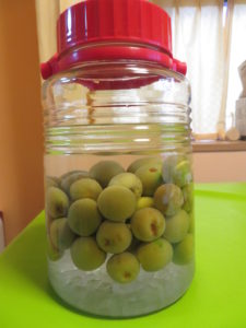 梅シロップを利用して梅ゼリーを作ってみた