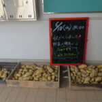 メークイン収穫完了|おすそ分けします!