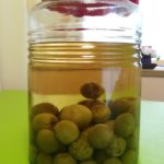 実家で採れた青梅を漬けてました、本日より自家製梅酒解禁にします