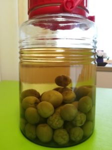 実家で採れた青梅を漬けてました、本日より自家製梅酒解禁にします