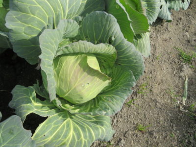 春休みは沖縄旅行、旅行計画練ってます