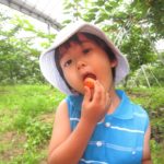 放置していたInstagramをもう一度見直して活用します