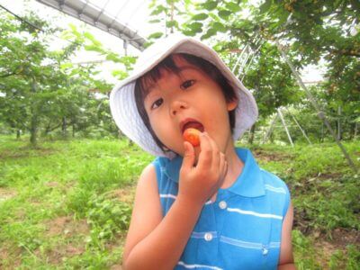 放置していたInstagramをもう一度見直して活用します